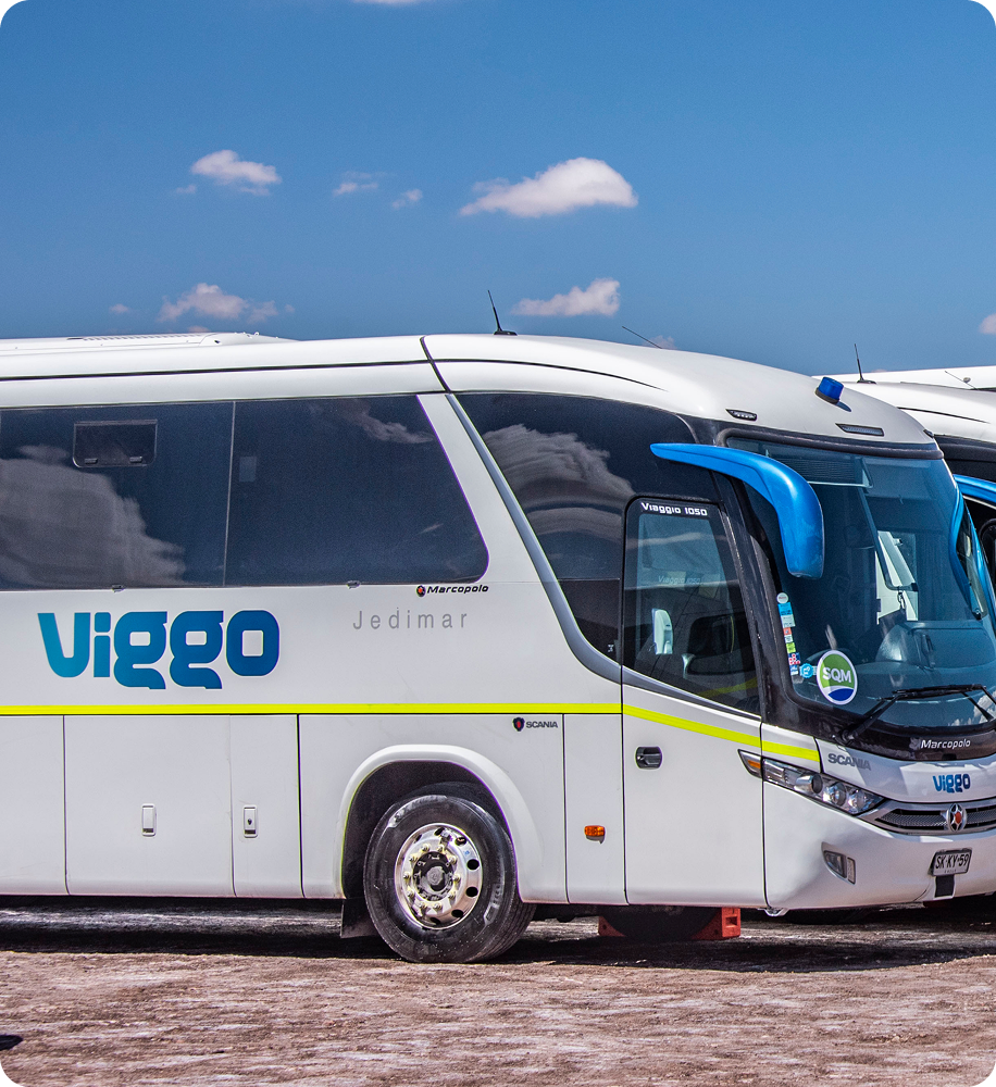 Imagen de autobus Viggo